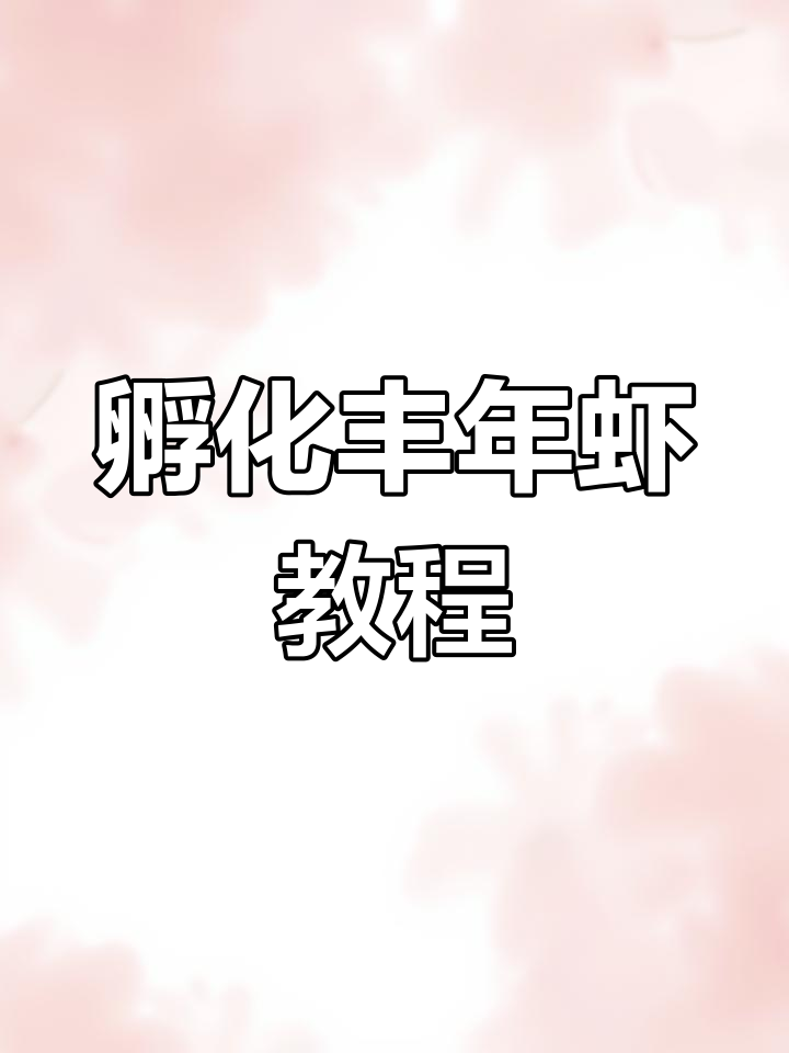 孵化丰年虾全过程,轻松学会