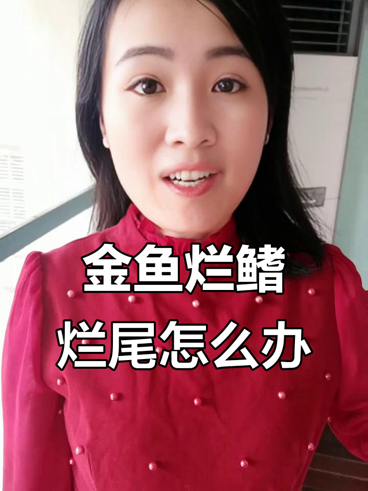 锦鲤金鱼烂鳍烂尾的原因及治疗方法