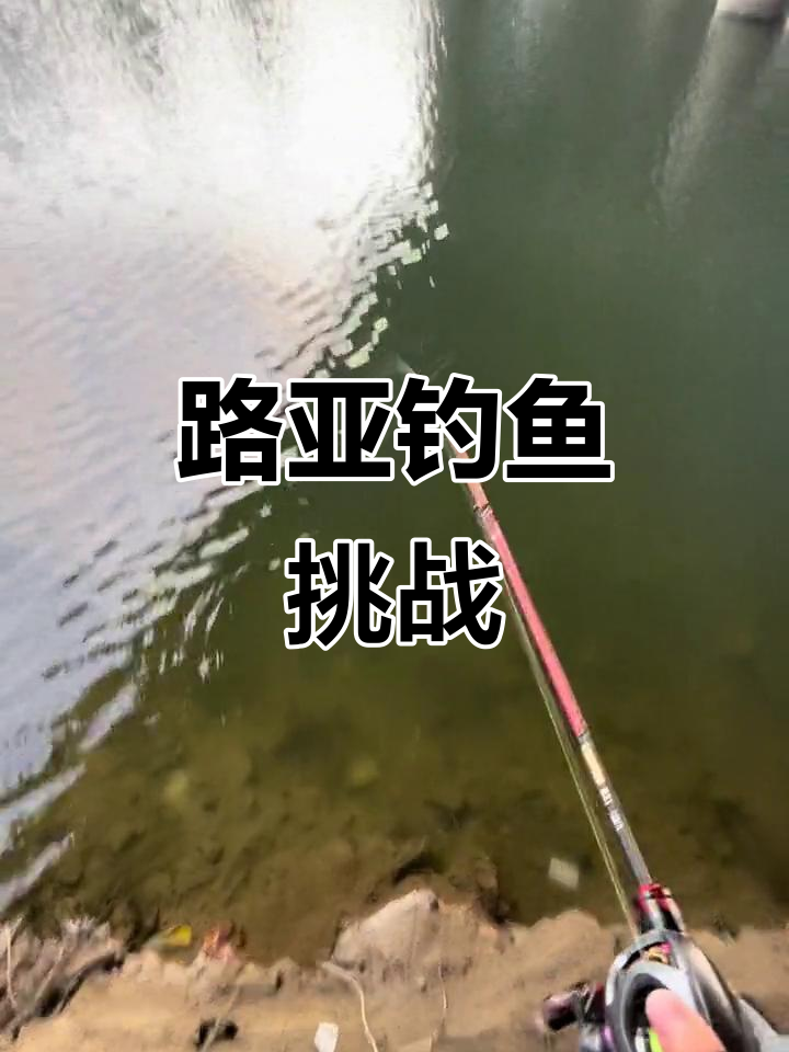 挑战罗非鱼窝,路亚钓法大揭秘!