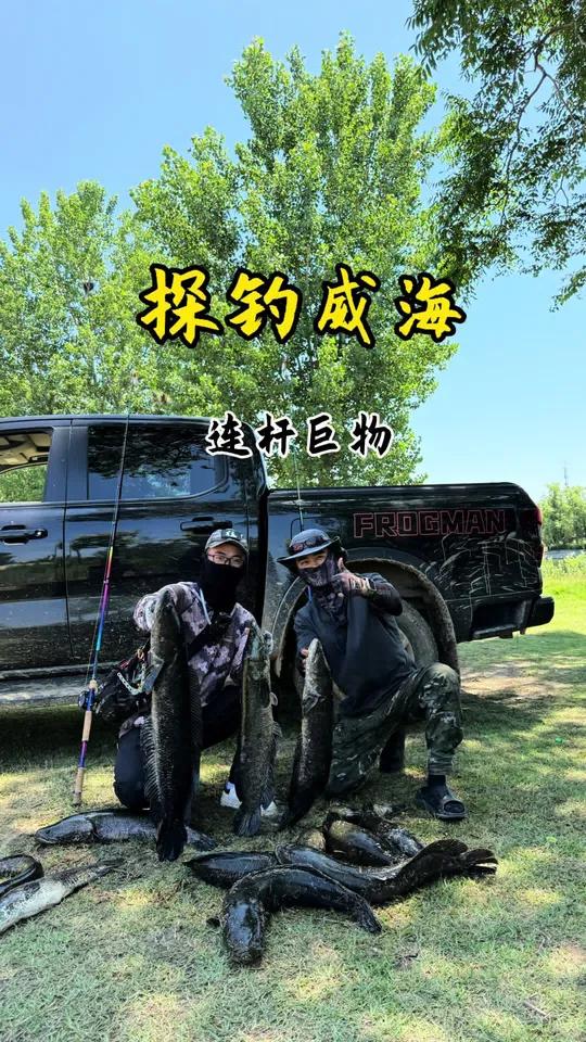 探钓威海，没想到遇到这么暴躁的鱼情 连杆巨型黑鱼，还解锁了神秘物种！新的雷强圣地—威海