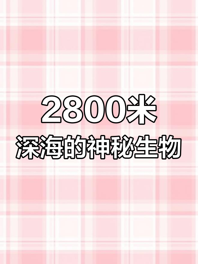科学家在深海发现罕见大鳍鱿鱼