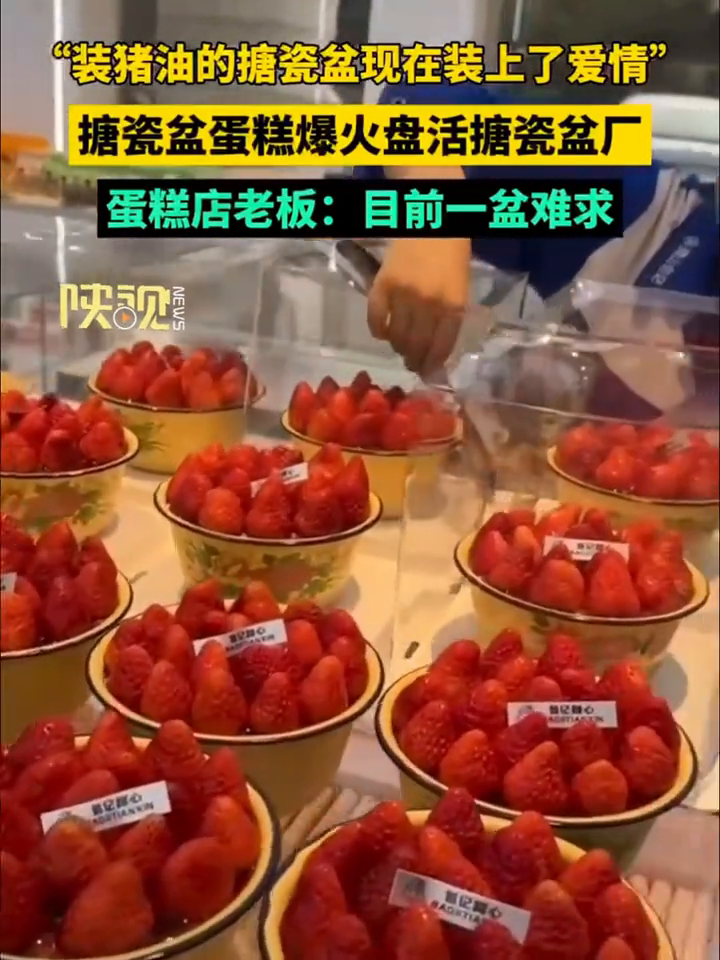 冬天第一盆草莓蛋糕带火搪瓷盆
