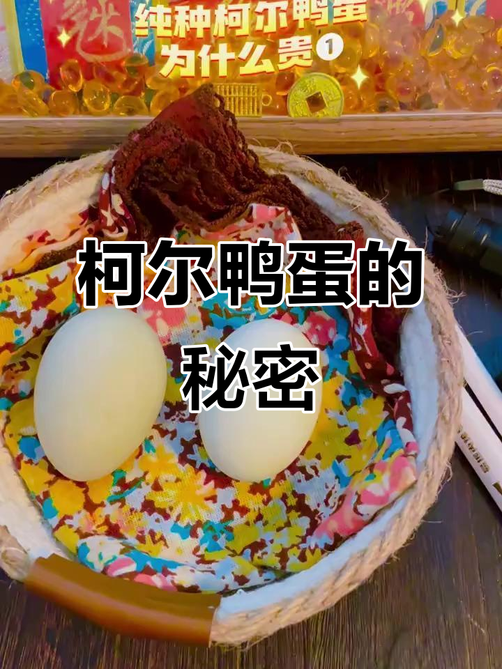 柯尔鸭蛋为何如此珍贵?孵化难度大揭秘