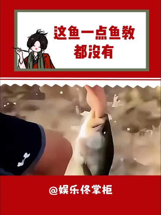 这鱼有病吧!(来源:_02)引路鱼 万万没想到 吓我一跳 离谱