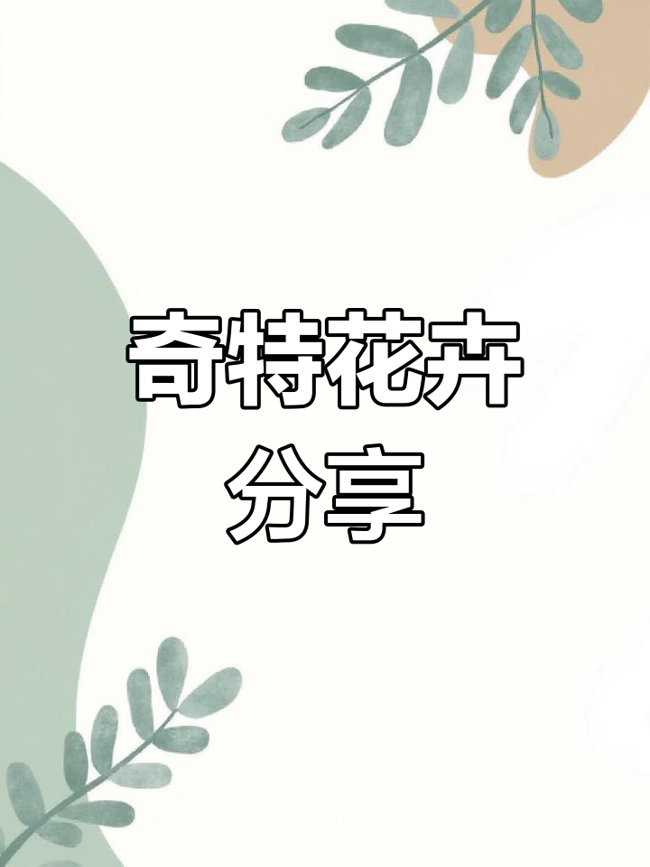 铁仔:一种奇特的灌木植物,花朵美丽却鲜为人知