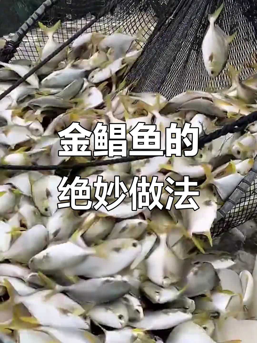 金鲳鱼新吃法,鲜美至极,连骨头都不放过!