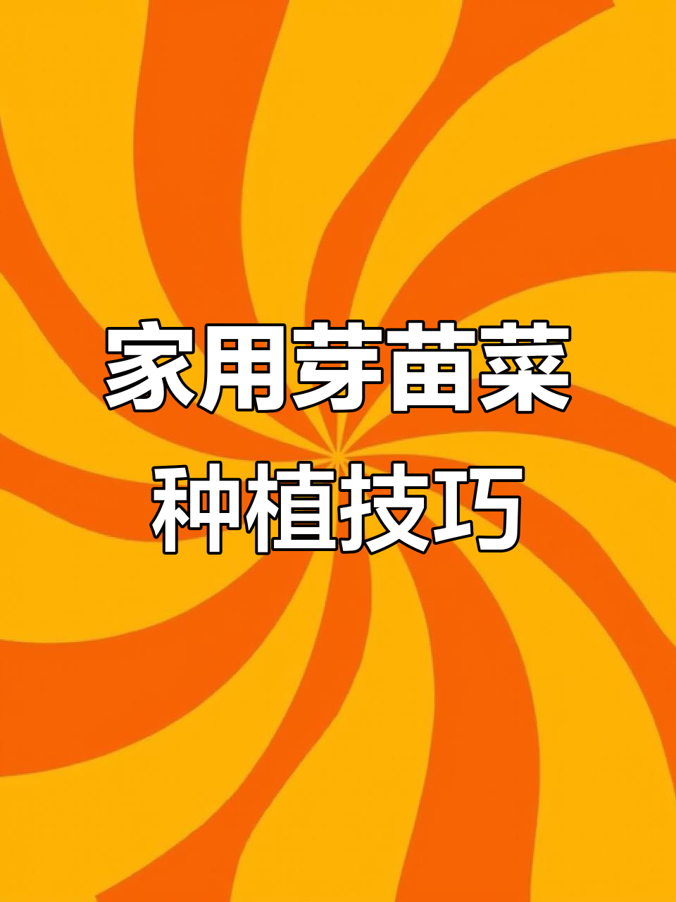 家庭芽苗菜种植全攻略,简单步骤教你轻松上手