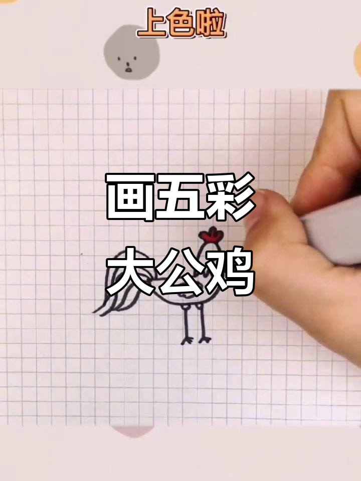 五彩大公鸡,简单又可爱的手绘教程