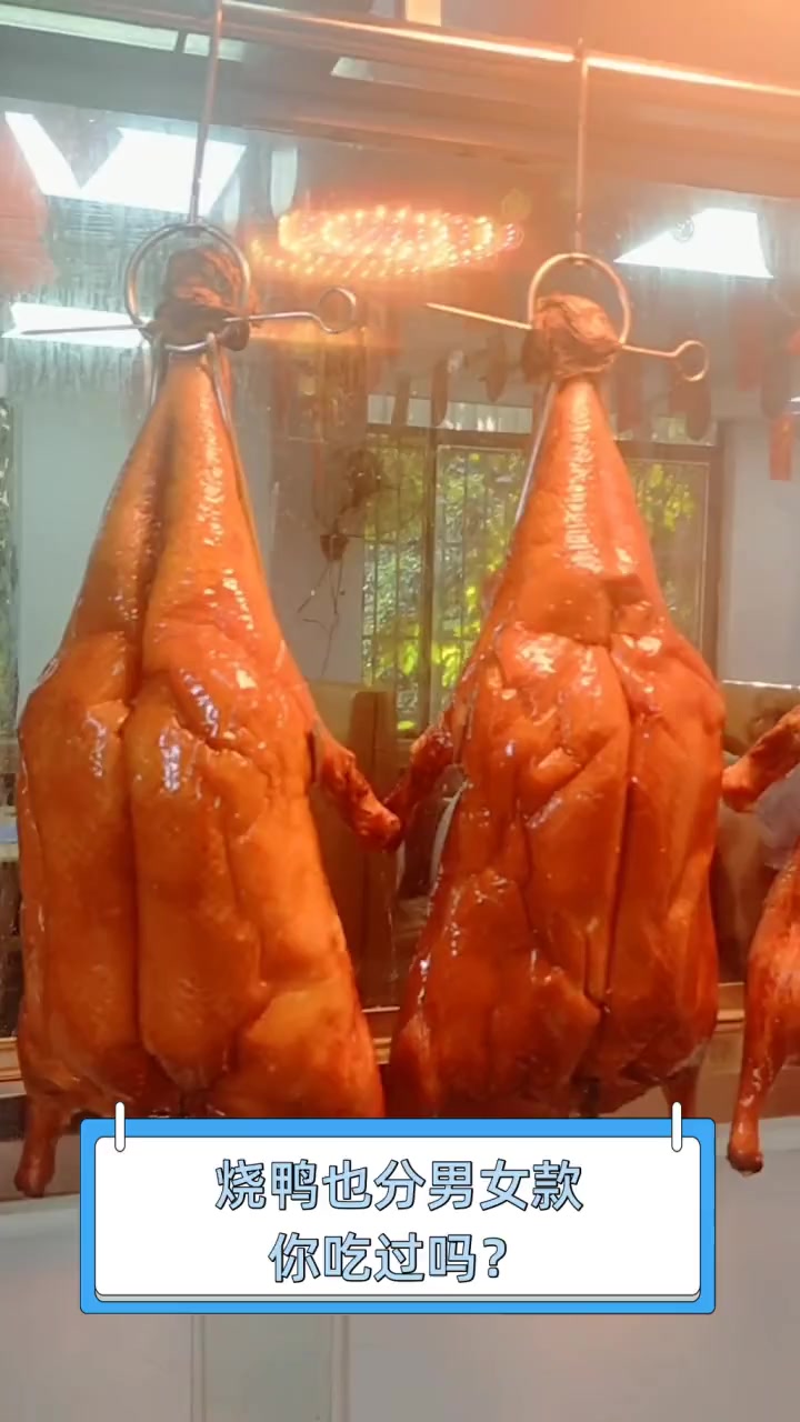 烧鸭也分男女款,你吃过吗?