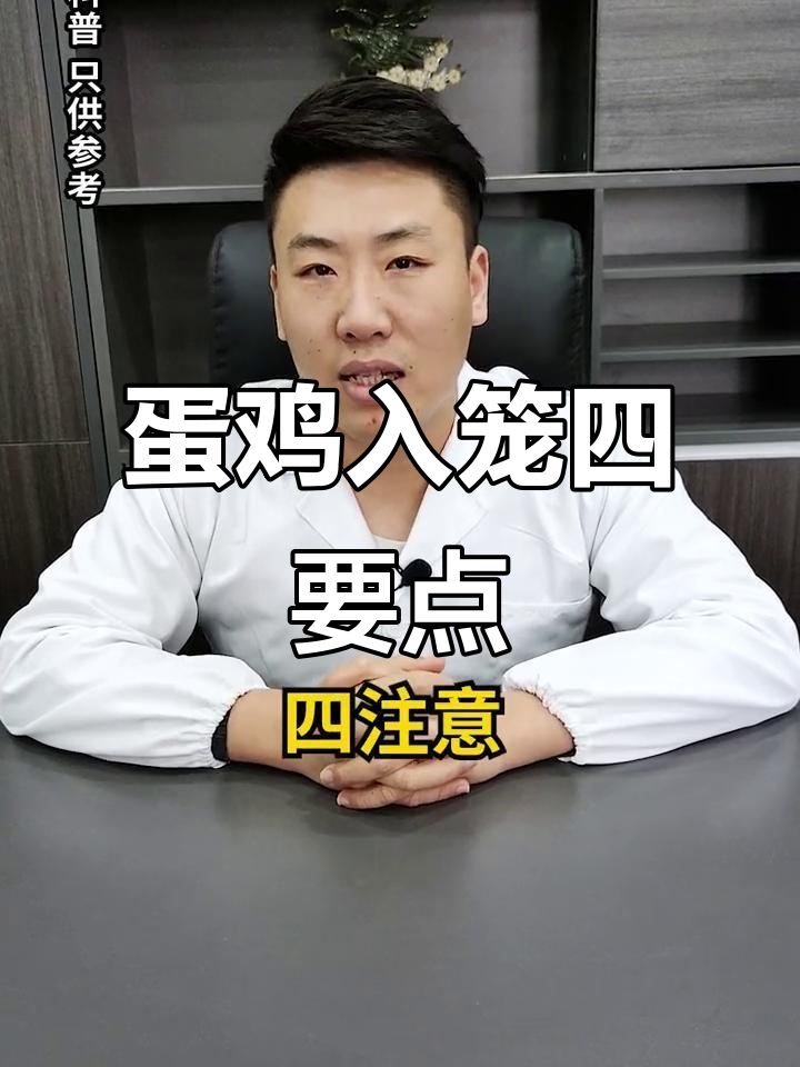 蛋鸡转入笼养，四大注意事项助你养殖更顺利