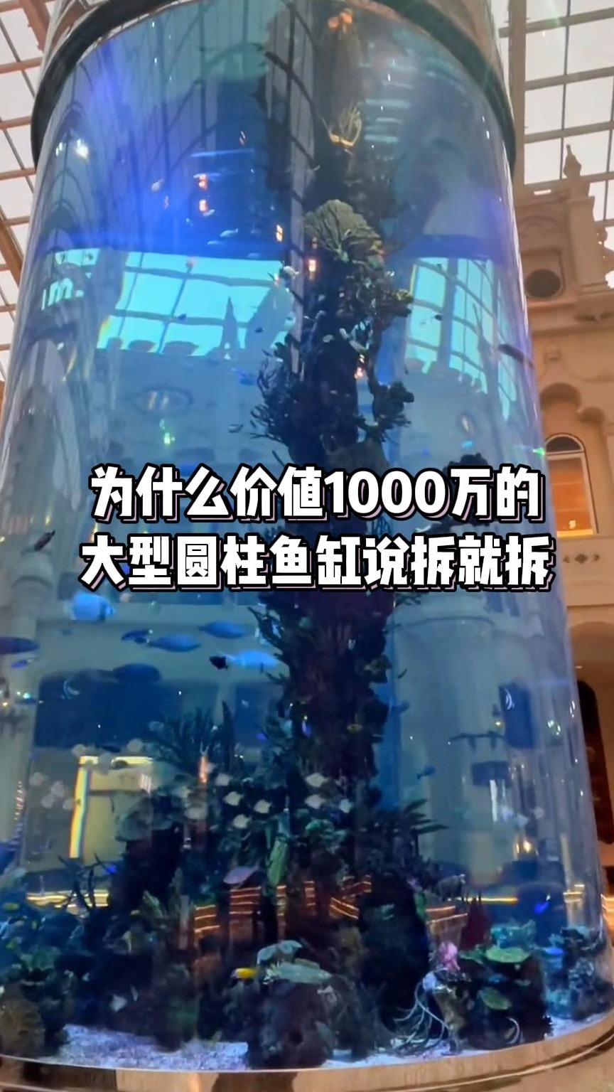 为什么价值1000万的大型圆柱鱼缸说拆就拆?