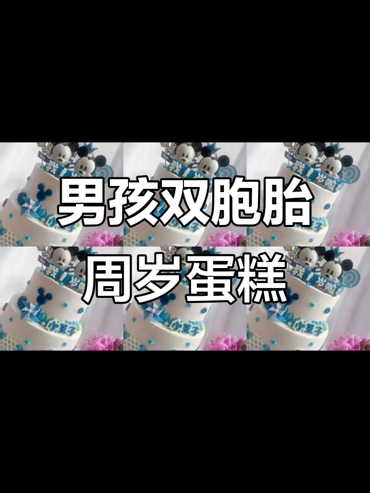 双胞胎周岁庆典,动物奶油蛋糕大比拼!
