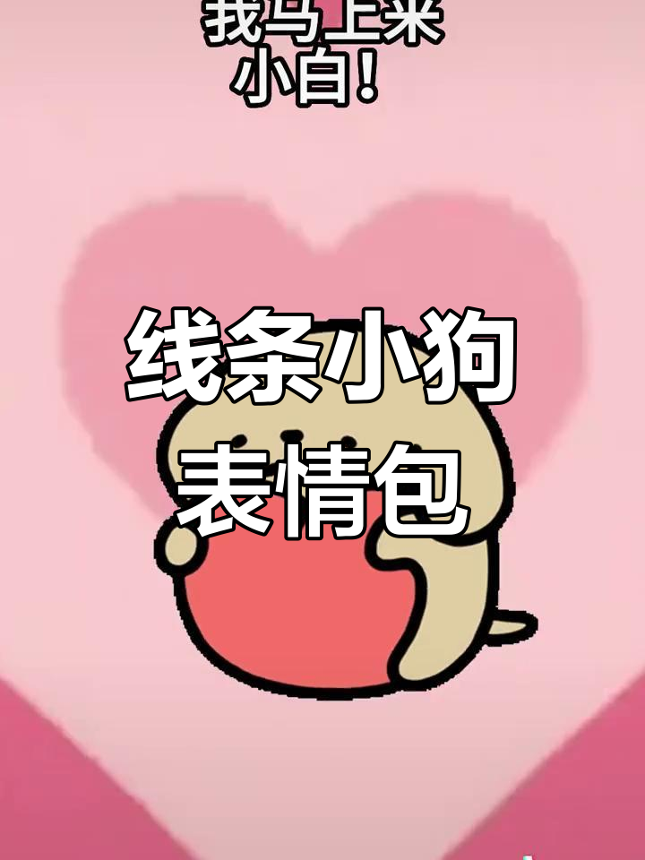 小鸡毛与小白狗的互动