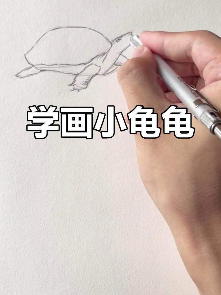 乌龟速写技巧:从轮廓到细节全解析
