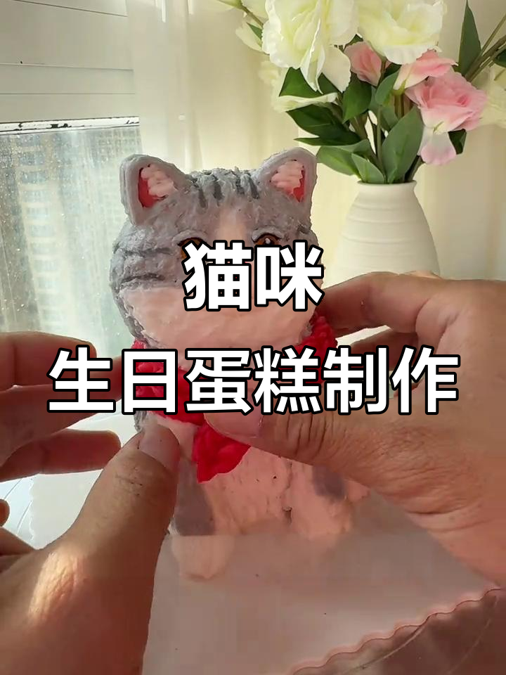 猫咪六岁生日蛋糕,健康无乳糖,宠物也能享受甜蜜时光