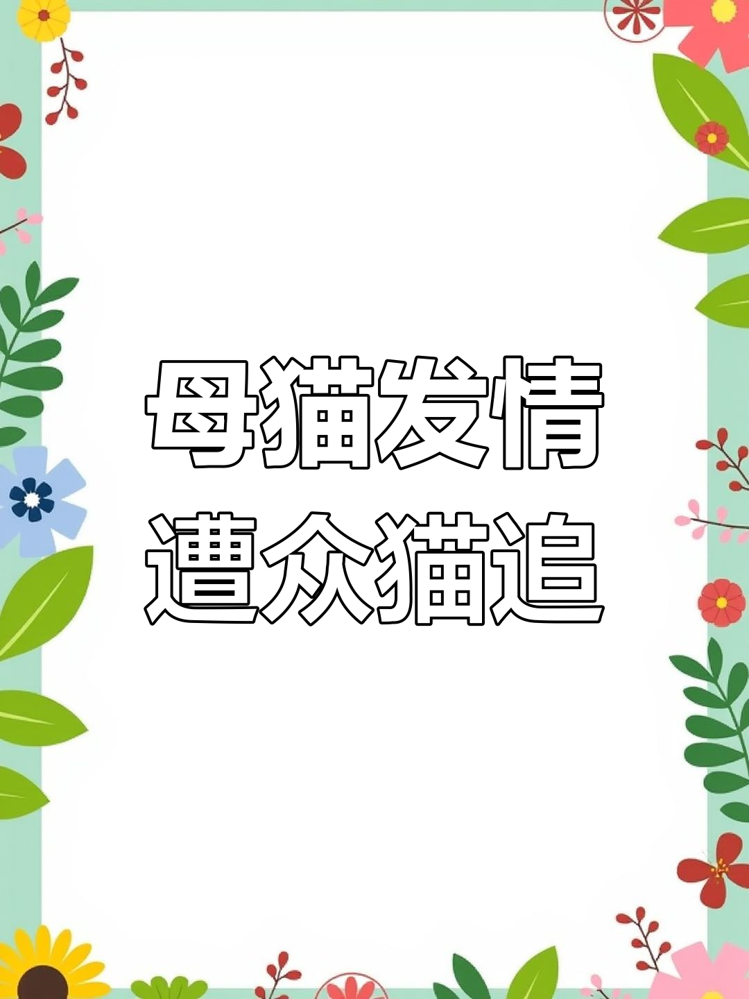 小白猫发情期被公猫疯狂追求,最后却选择了它