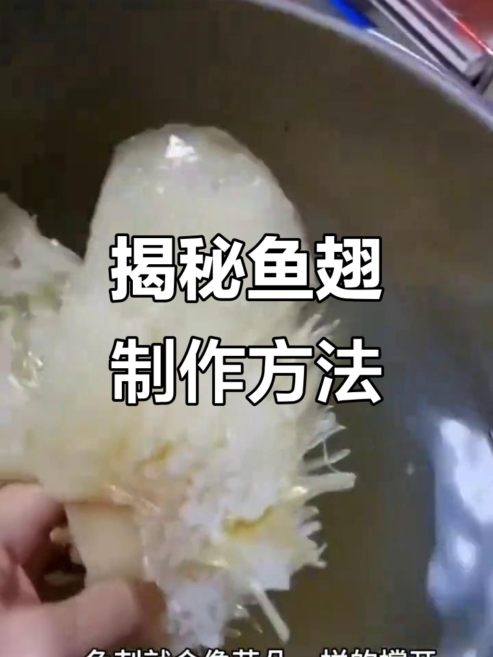 鱼翅竟然是这样做出来的,过程超简单!