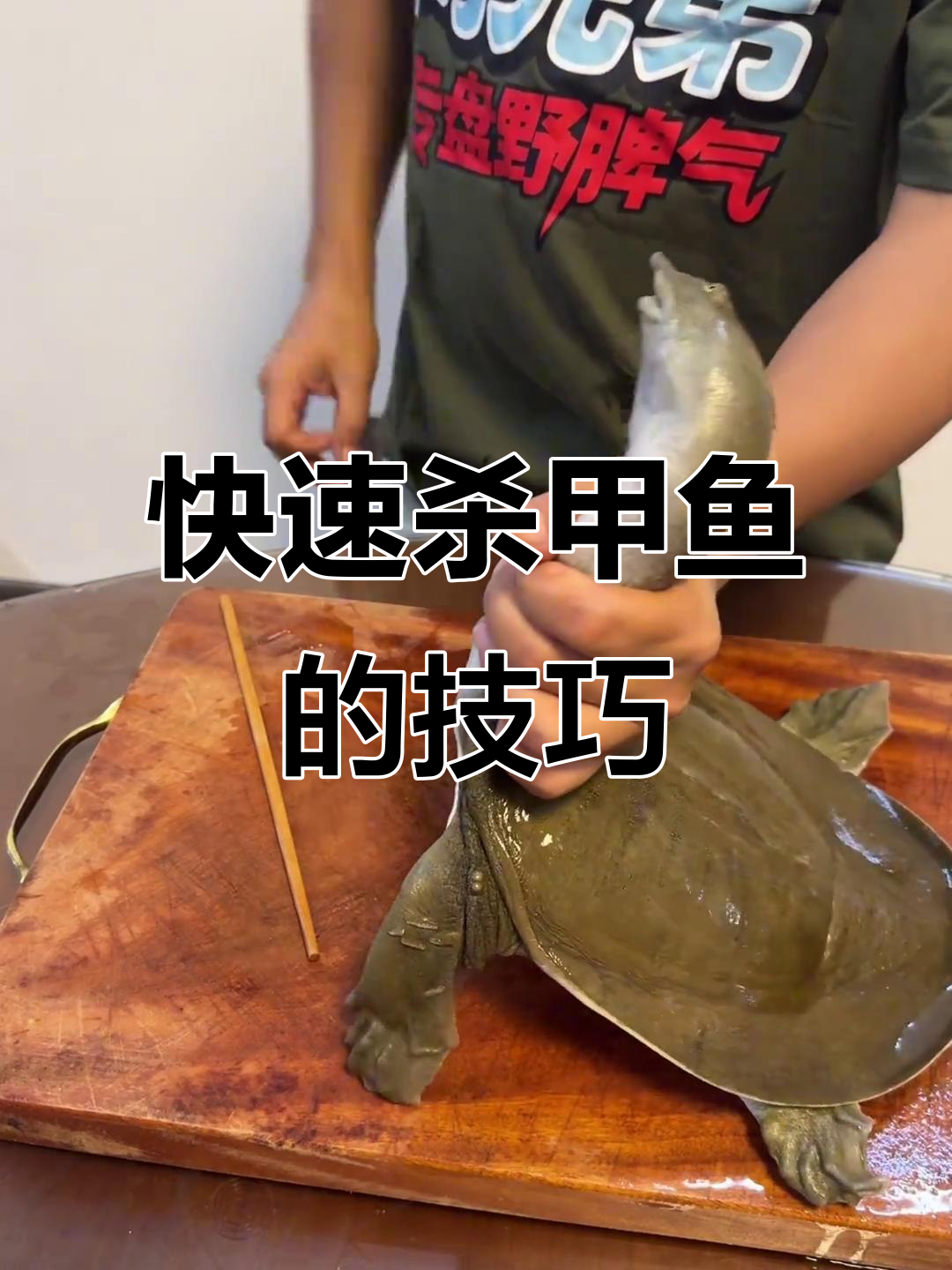 如何轻松杀甲鱼，步骤超简单