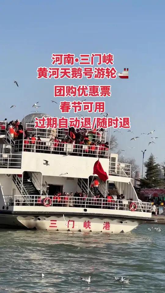 三门峡的天鹅向你发出邀请#不是航拍的航拍旅行让我看不一样的世界三门峡天鹅号游轮真实生活分享