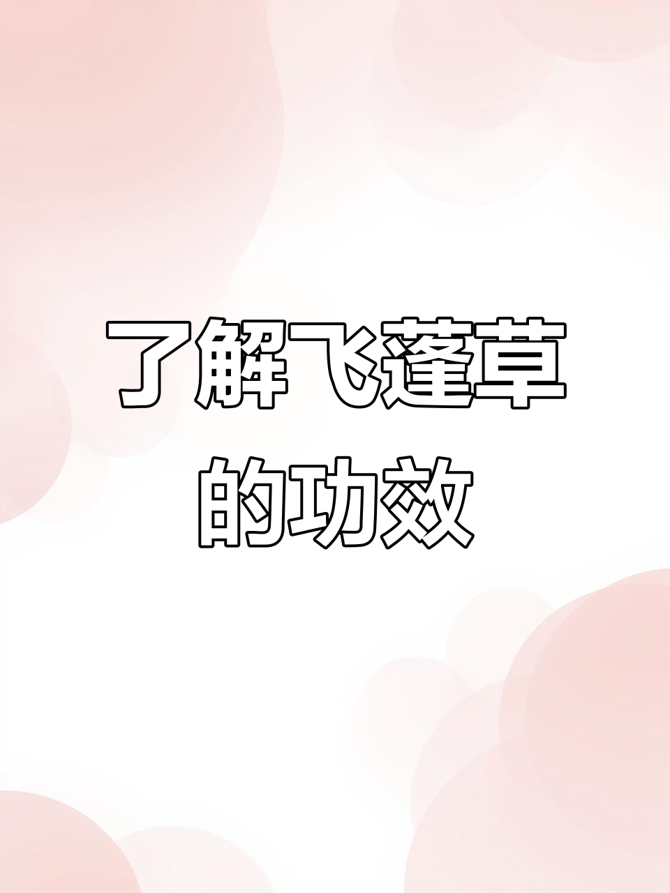 飞蓬草:常见草本植物的药用与生态价值