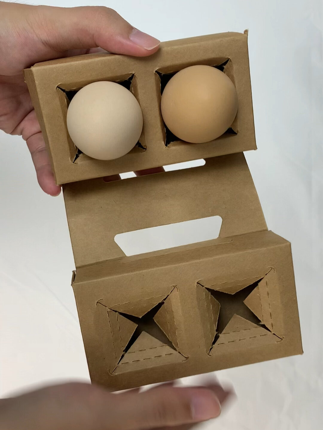 两个装鸡蛋包装结构