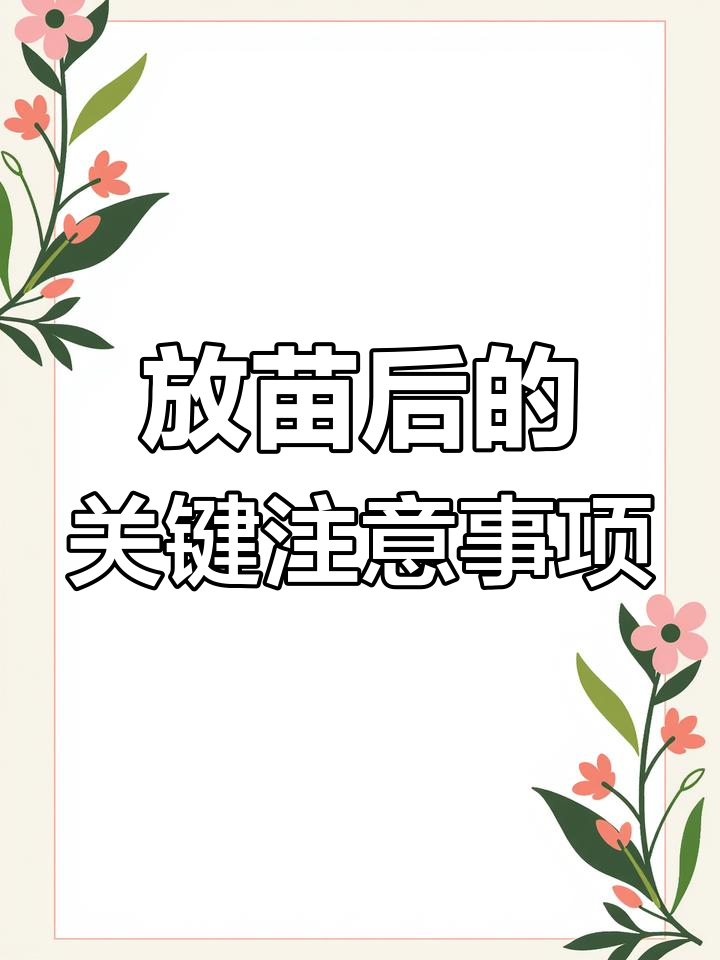 南美白对虾放苗后三到五天管理要点,水质稳定与饲料转换技巧