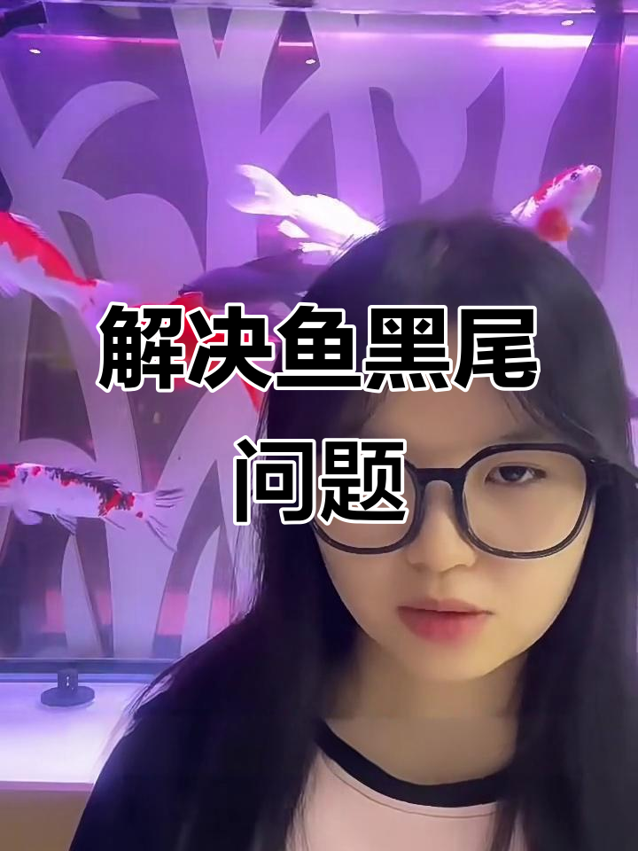 鱼黑尾的原因及解决方法,水质、温度、细菌全都有影响