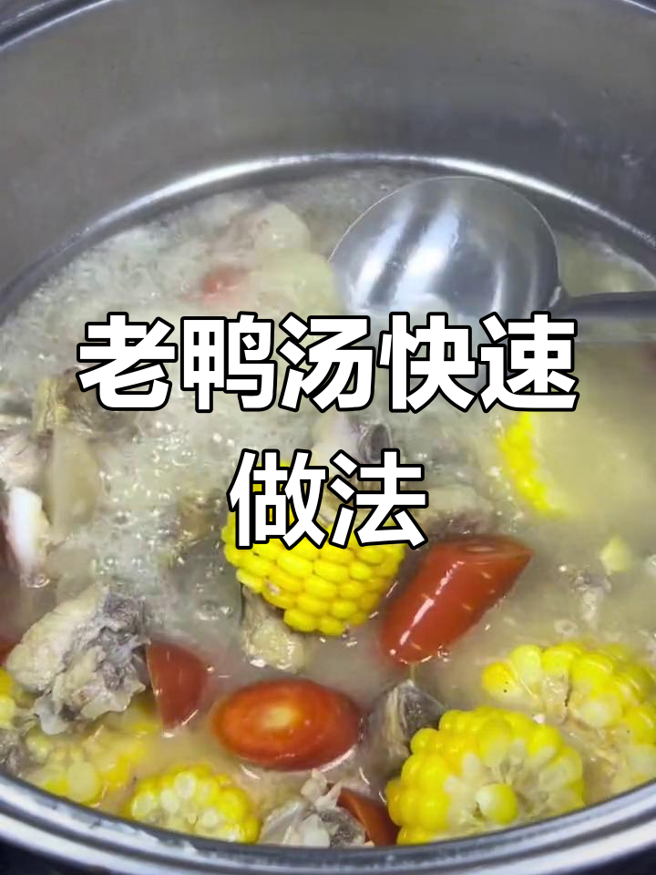 轻松炖出美味老鸭汤,排骨猪脚都能一起做
