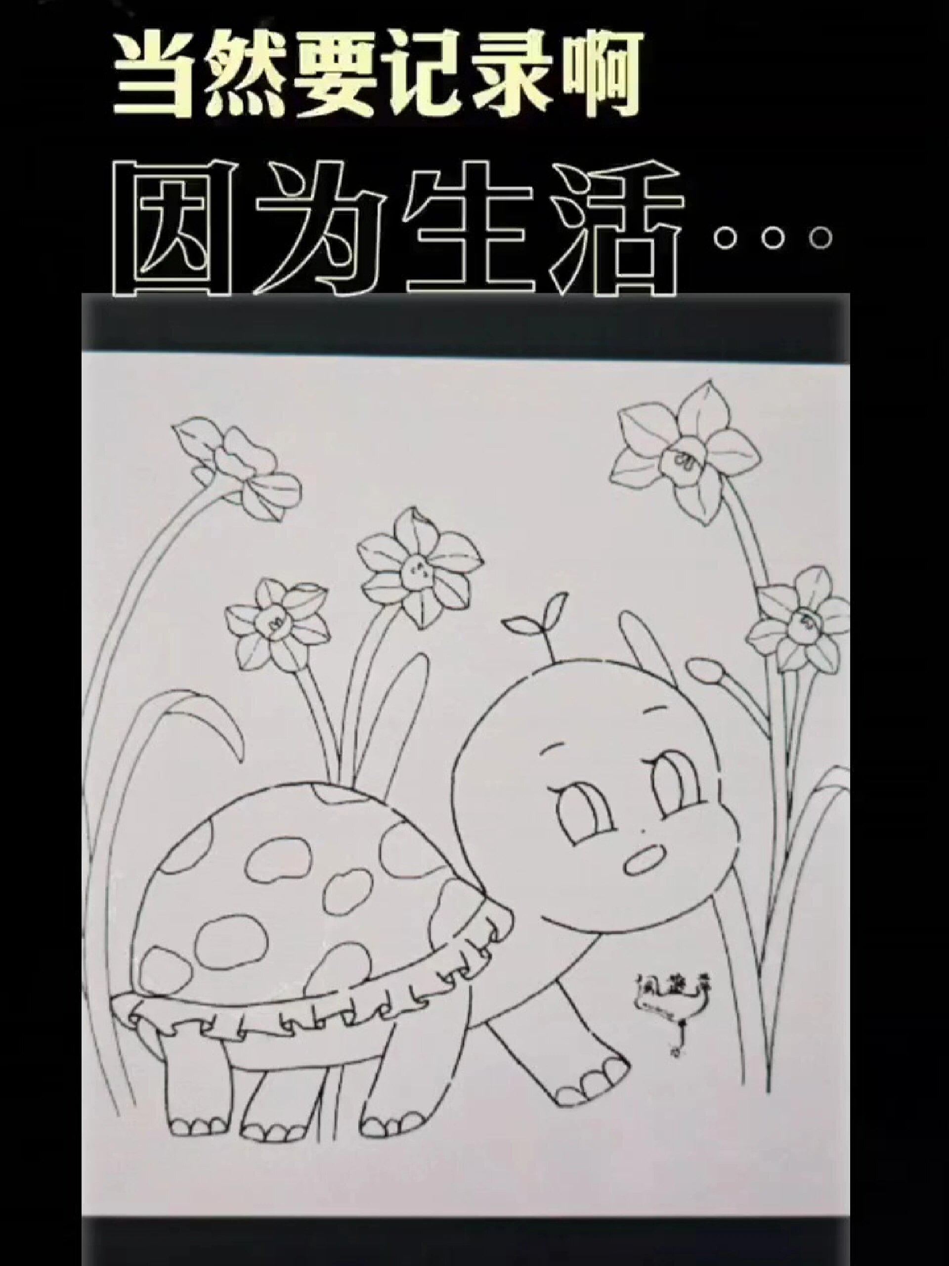 每日一画画|动物卡通|乌龟插画