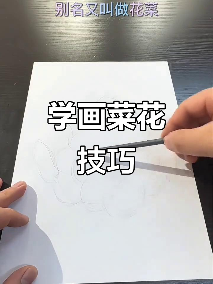 画菜花:从铅笔到中性笔,细节决定成败