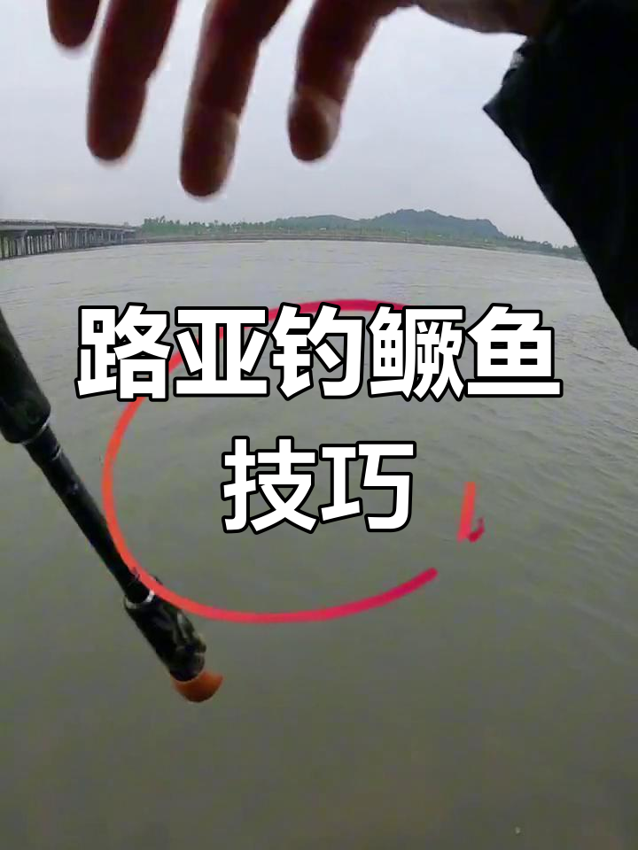 江河急流路亚钓鳜鱼技巧分析,典型标点藏鱼位置