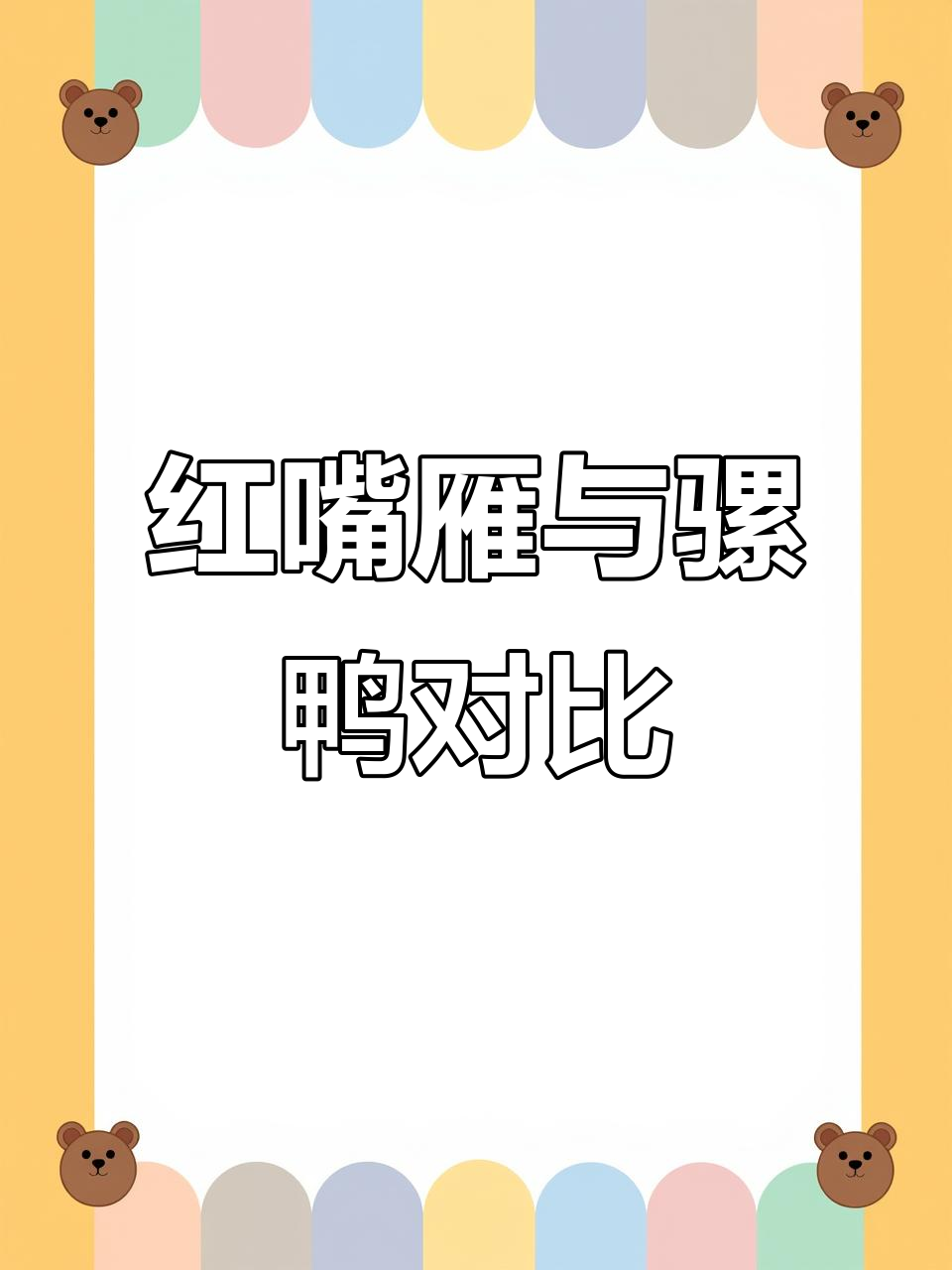 骡鸭与红嘴雁区别大,杂交品种无法繁殖,母鸟产蛋频繁