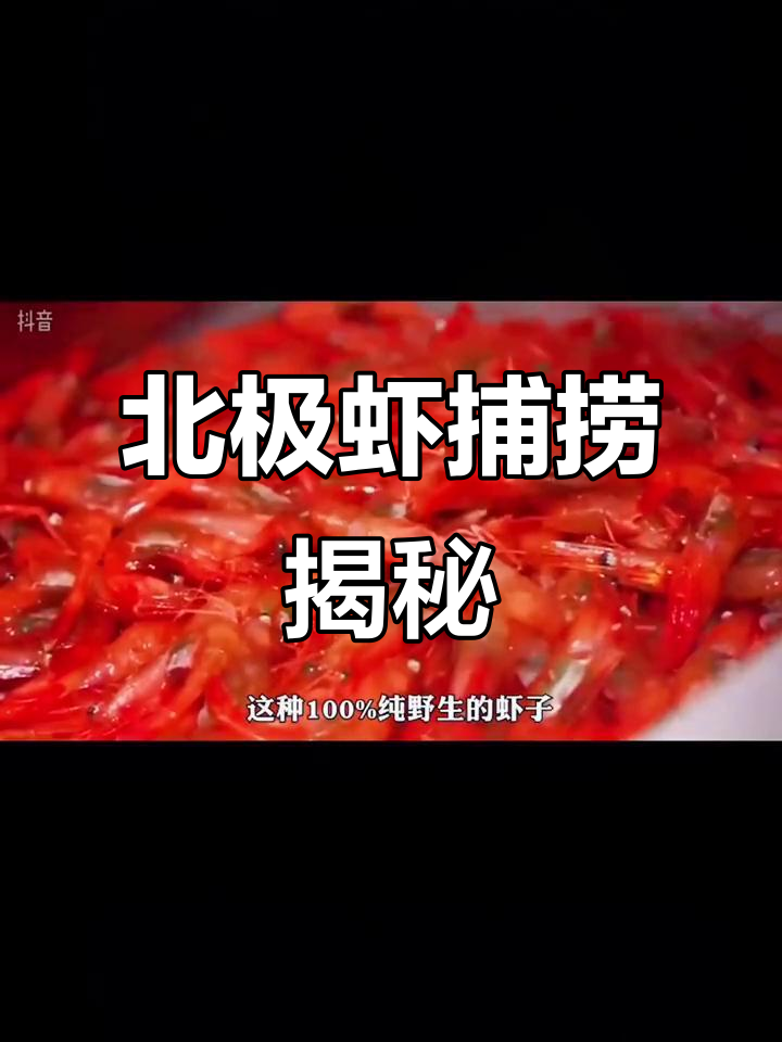北极虾捕捞全过程:寒冷海域的渔民生活与挑战