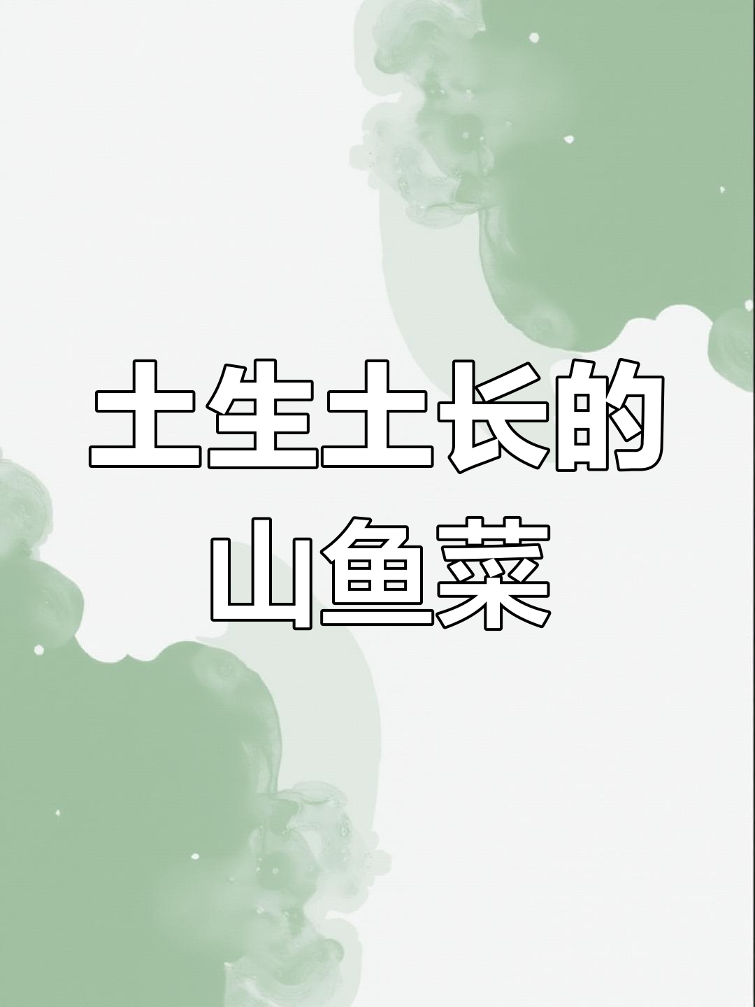 山萮菜:从饥荒时期的救命粮到国际高档调料
