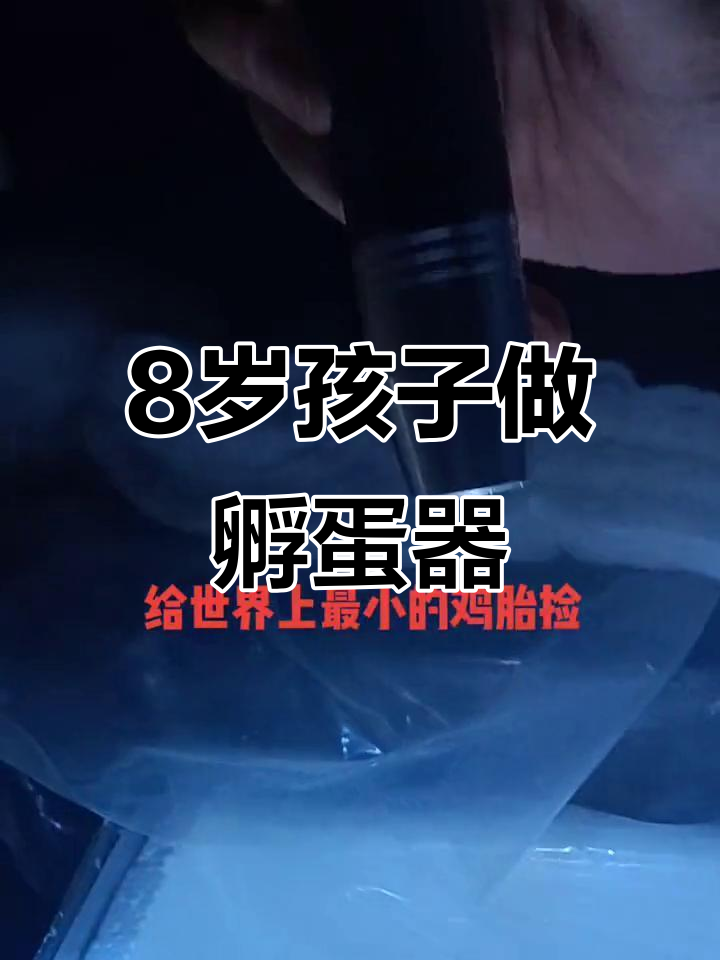 八岁儿童亲手做孵蛋器,观察小鸡发育全过程
