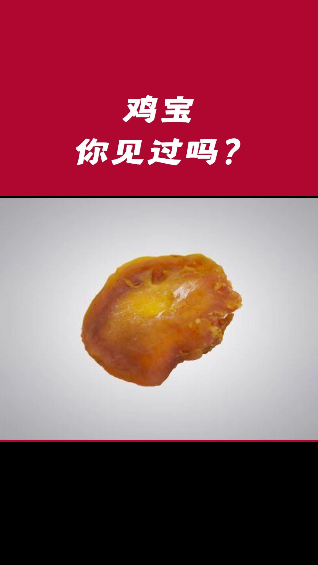 鸡宝,你见过吗?