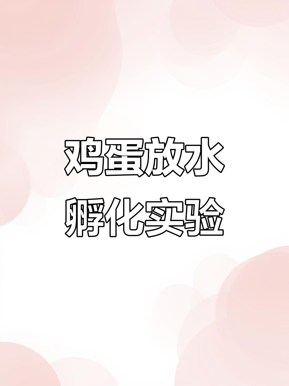 把鸡蛋泡水里,能孵出小鸡吗?快来看看吧!