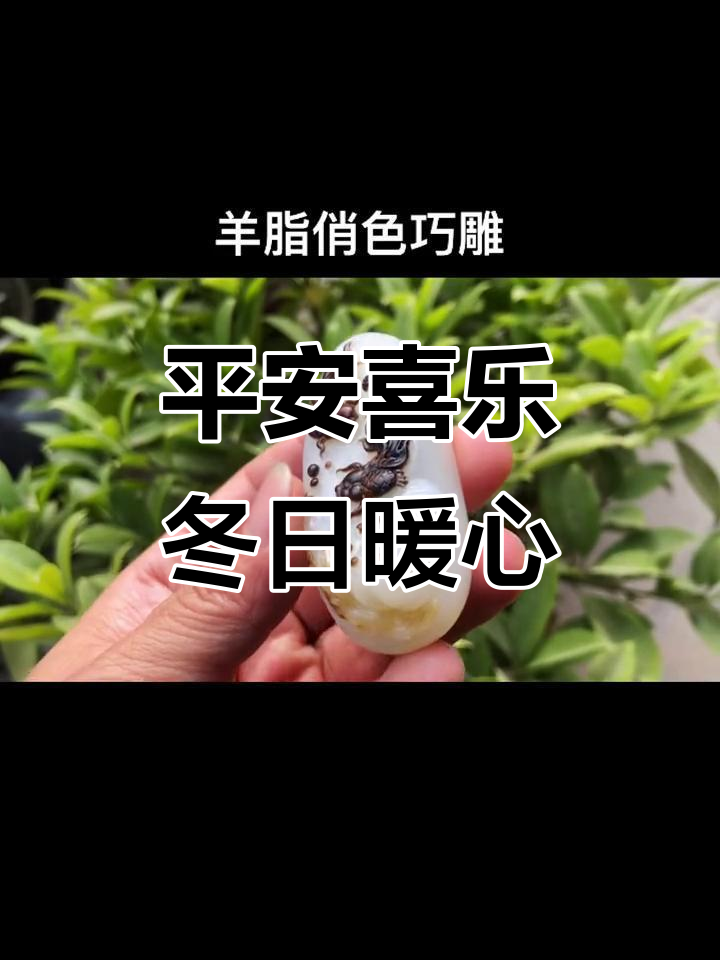 冬季温暖祝福,莲年有鱼带来好运