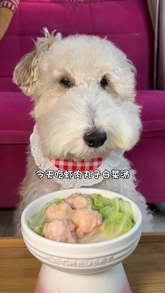 熊宝嗦虾肉丸子白菜汤