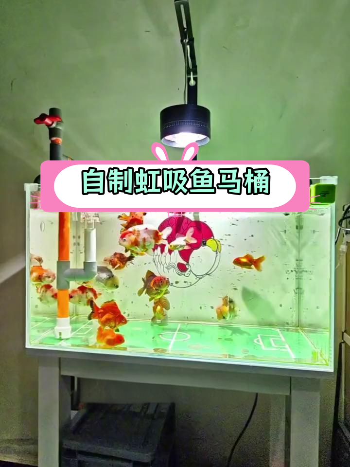 虹吸鱼马桶制作教程,轻松学会