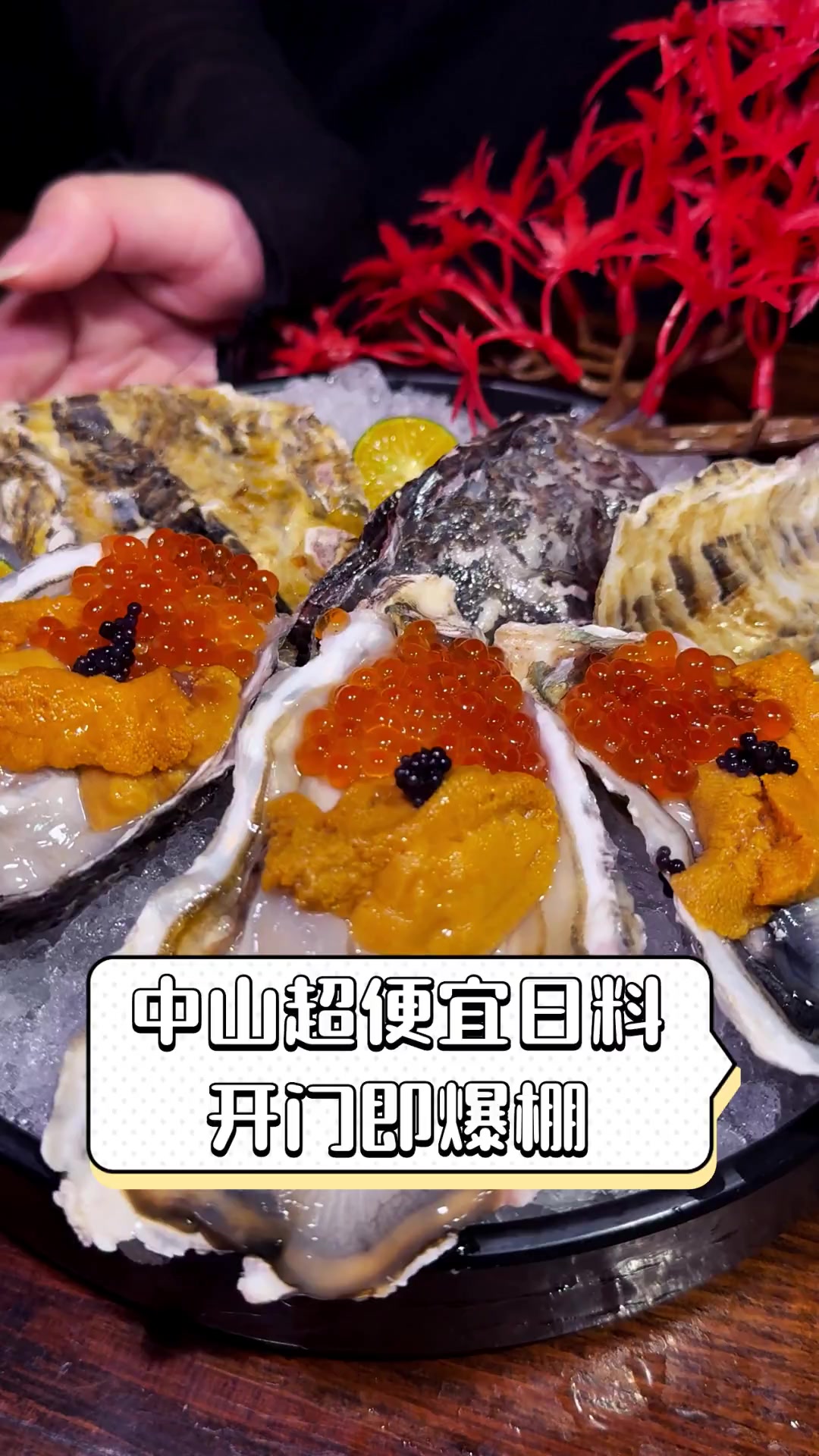 中山超便宜日料,开门即爆棚