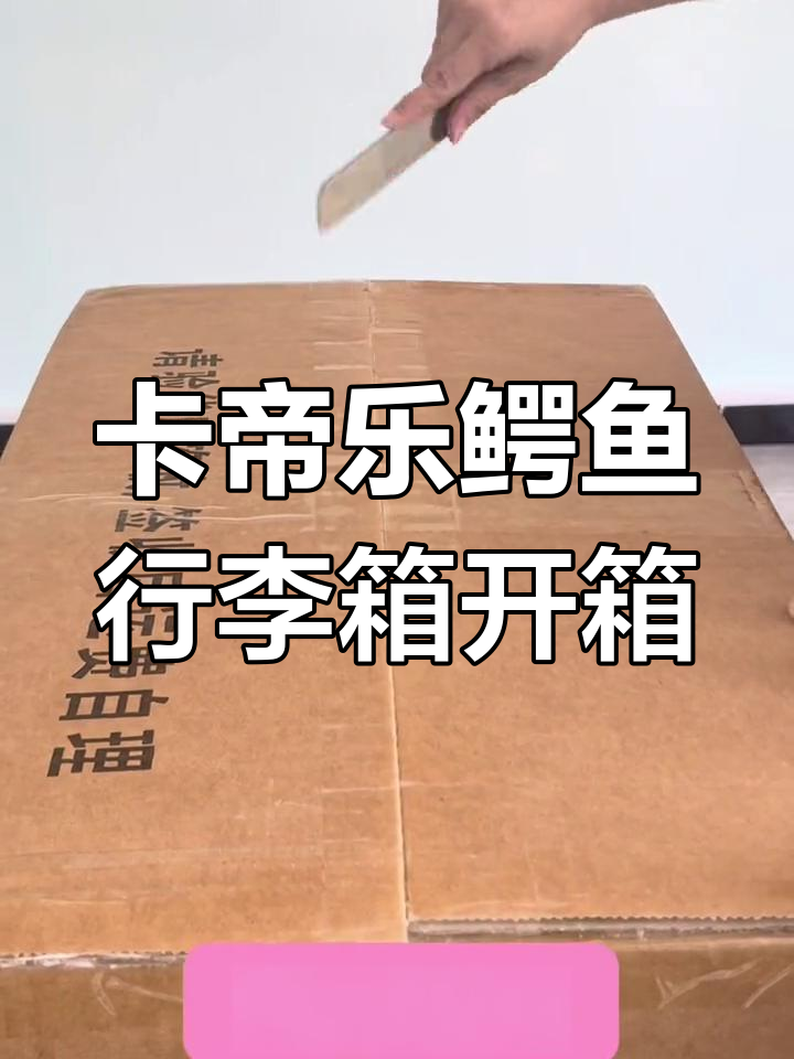 防撞海绵+TSA锁芯,卡帝乐鳄鱼行李箱全方位保护