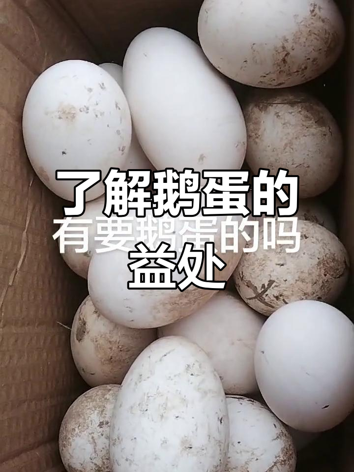 鹅蛋的营养价值与独特功效，润肤又修复细胞