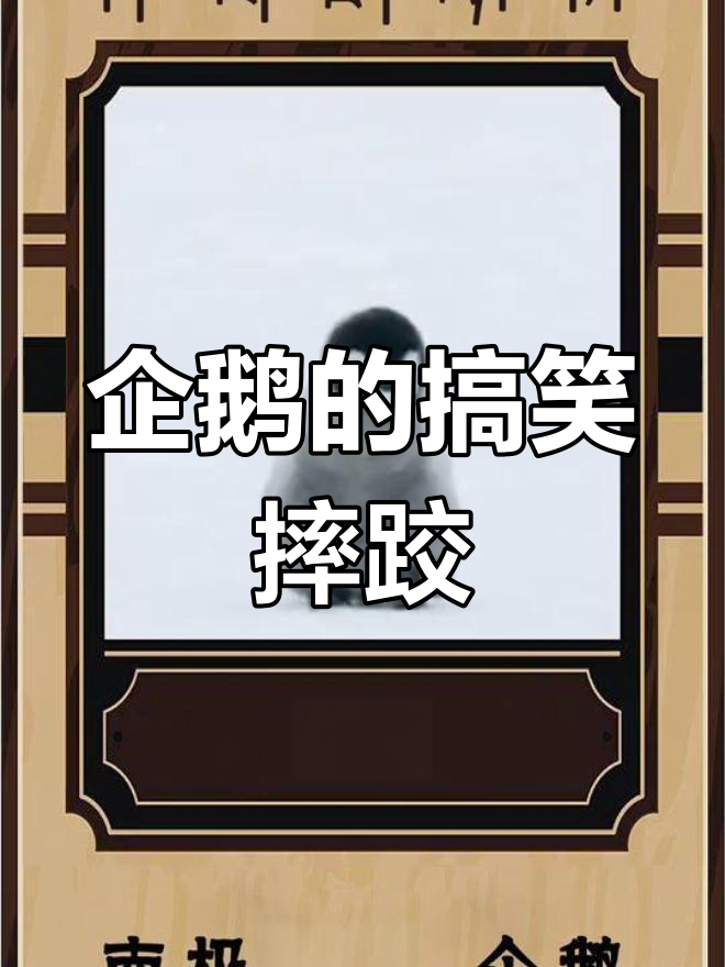 黑白配色的智商“诅咒”？看企鹅如何摔倒！