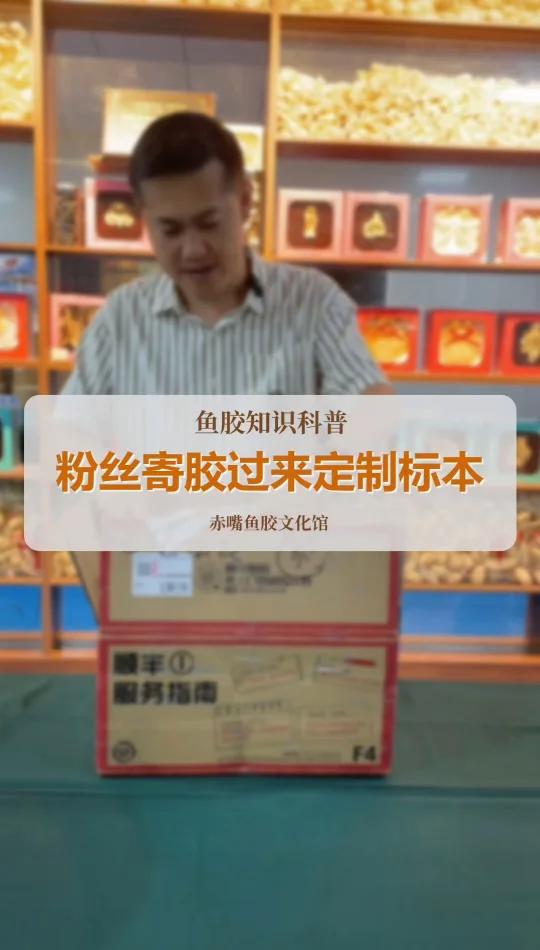 粉丝寄鱼胶定做鱼骨标本