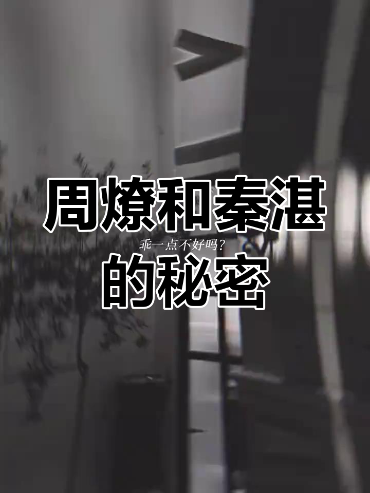 道德沦丧的真相,周燎与秦湛的故事