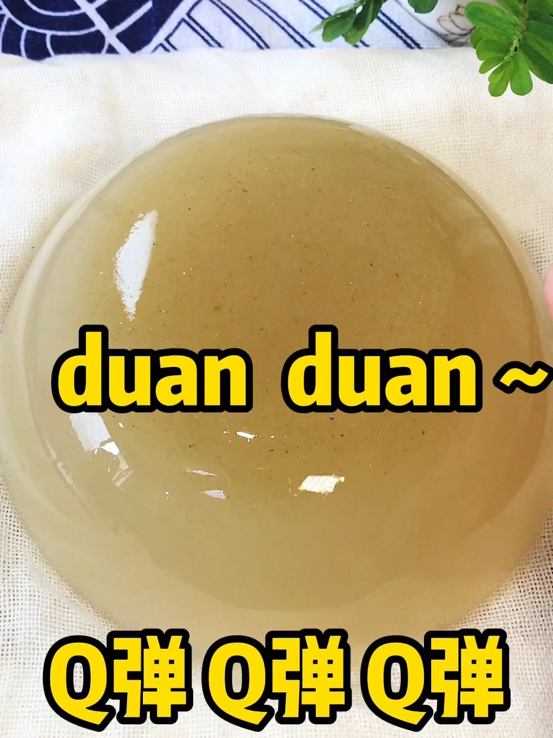 浙江台州洋菜膏的做法~