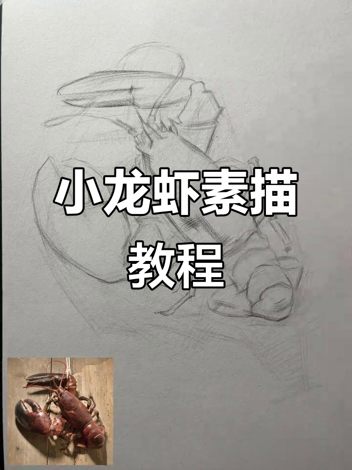 素描小龙虾绘制技巧,从比例到细节全解析
