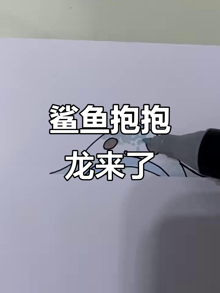 鲨鱼抱抱龙大集合,真的是它吗?