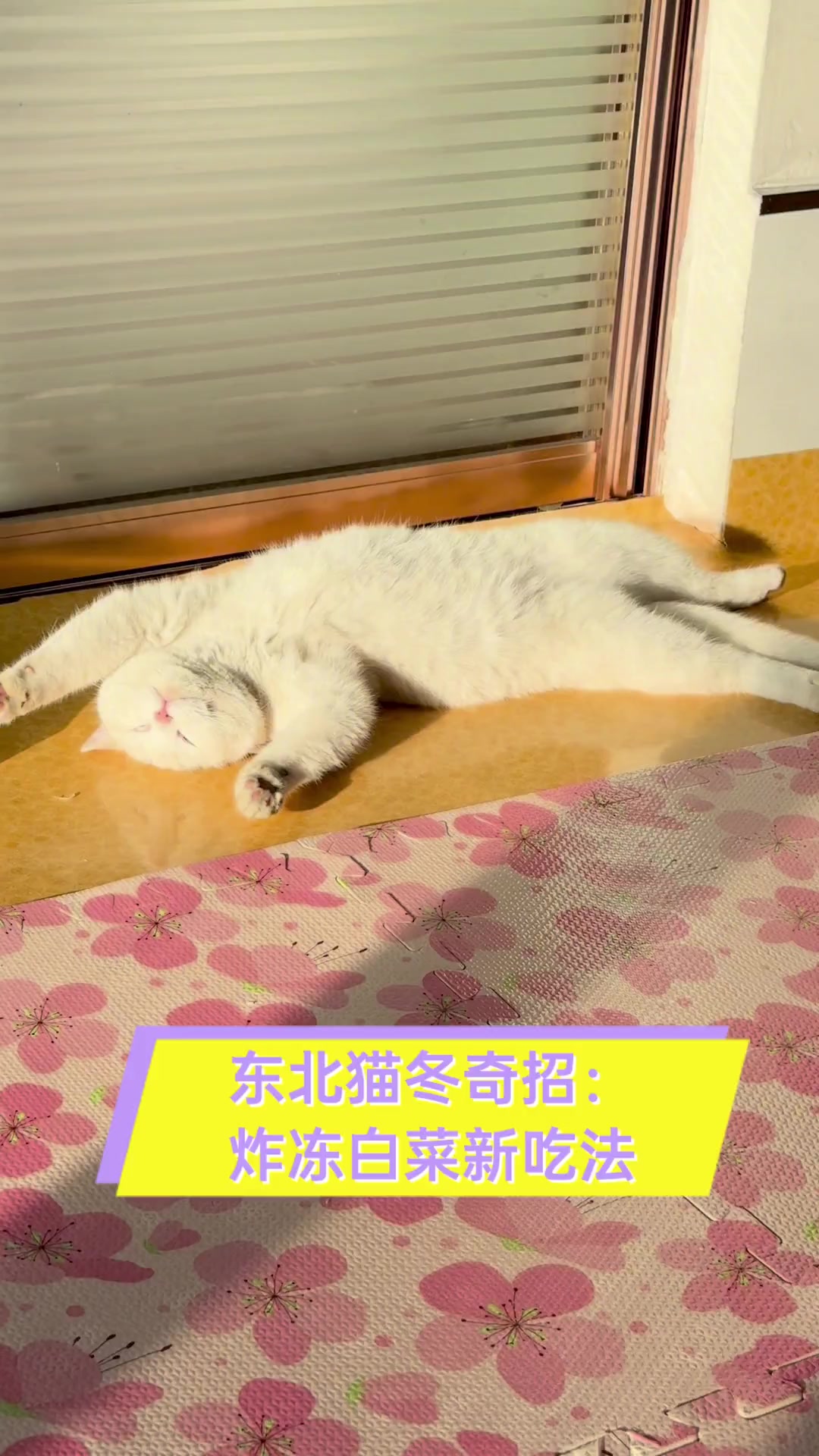 东北猫冬奇招:炸冻白菜新吃法